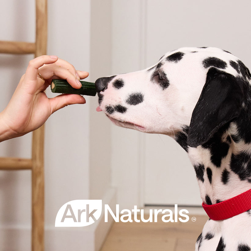 Ark Naturals