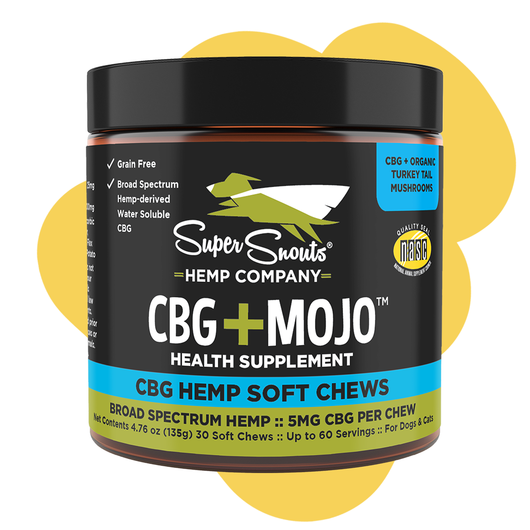 Cbg+Mojo Immune Support Hemp Chew
