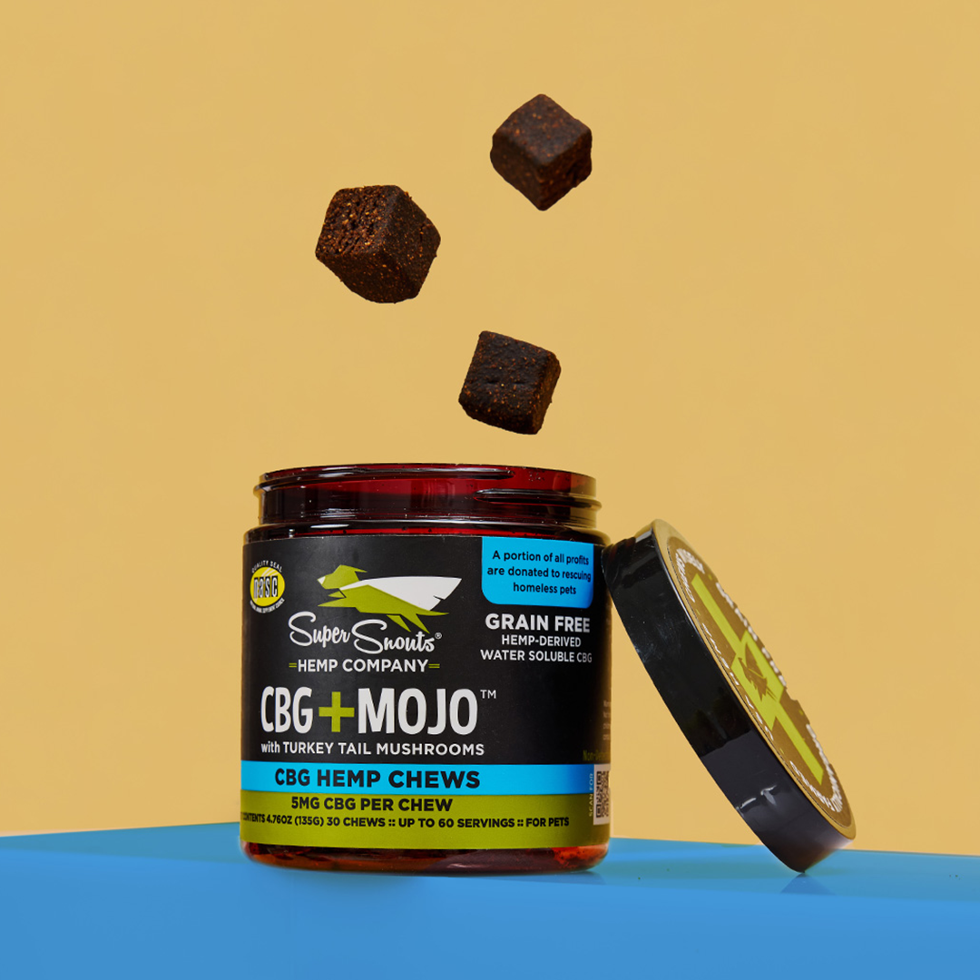Cbg+Mojo Immune Support Hemp Chew