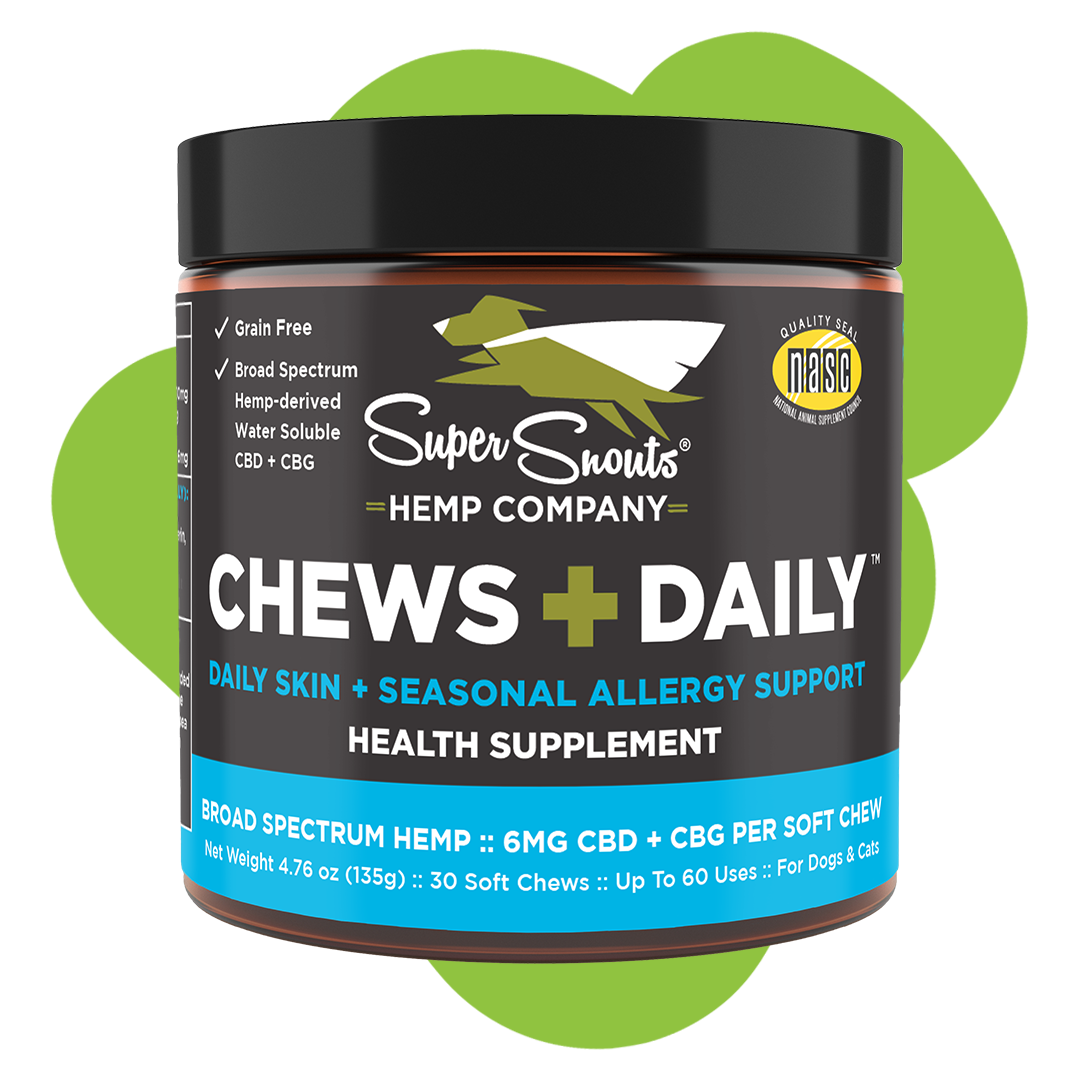 Chews Daily Seasonal Allergy Support Hemp Chew
