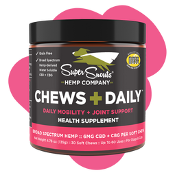 Chews Daily Mobility Support Hemp Chew