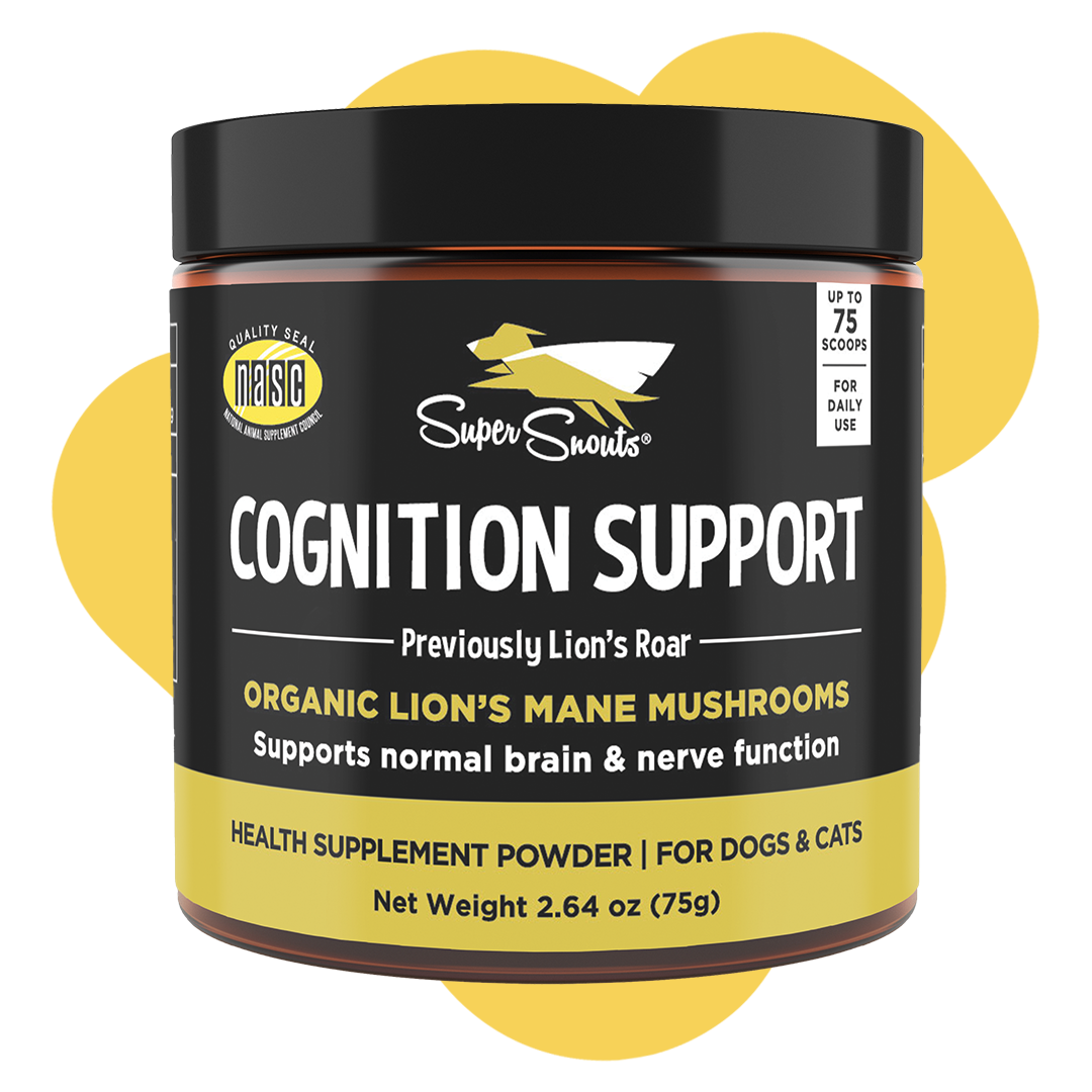 Cognitive_Support_Front.png?v=