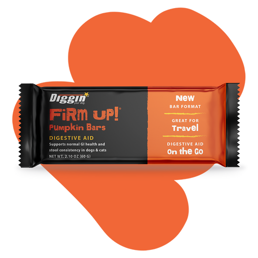 Firm Up! Pumpkin Bars - Digestive Aid