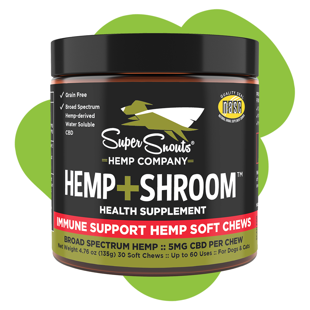 Hemp + Shroom Skin Health Support Hemp Chews