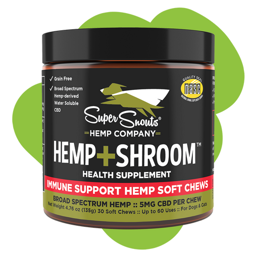 Hemp + Shroom Skin Health Support Hemp Chews