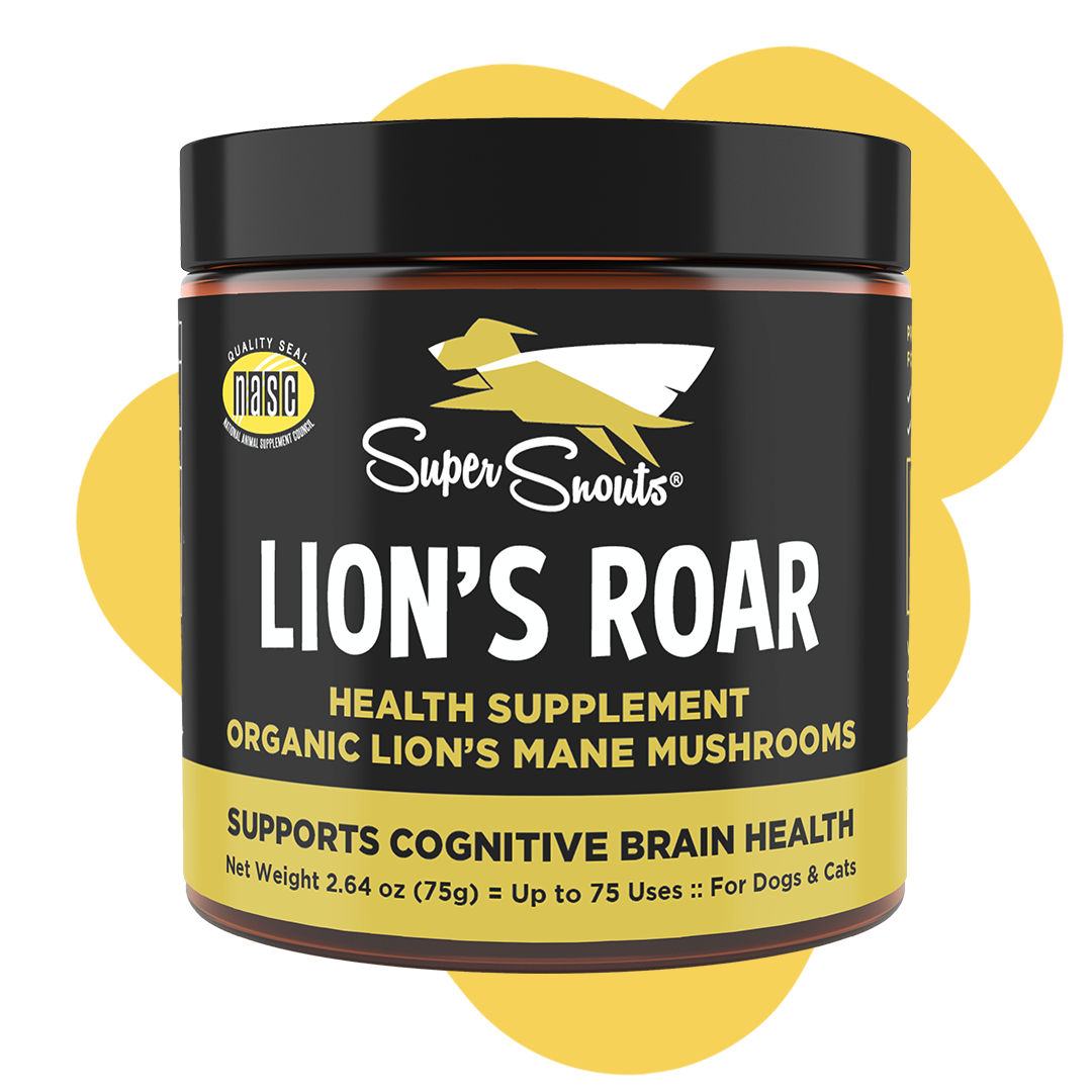 フ*ト様 イングリッシュホルン　LION’S ROAR Model-Serpen イングリッシュホルン 中古美品Lion's Roar Model Serpent 製品