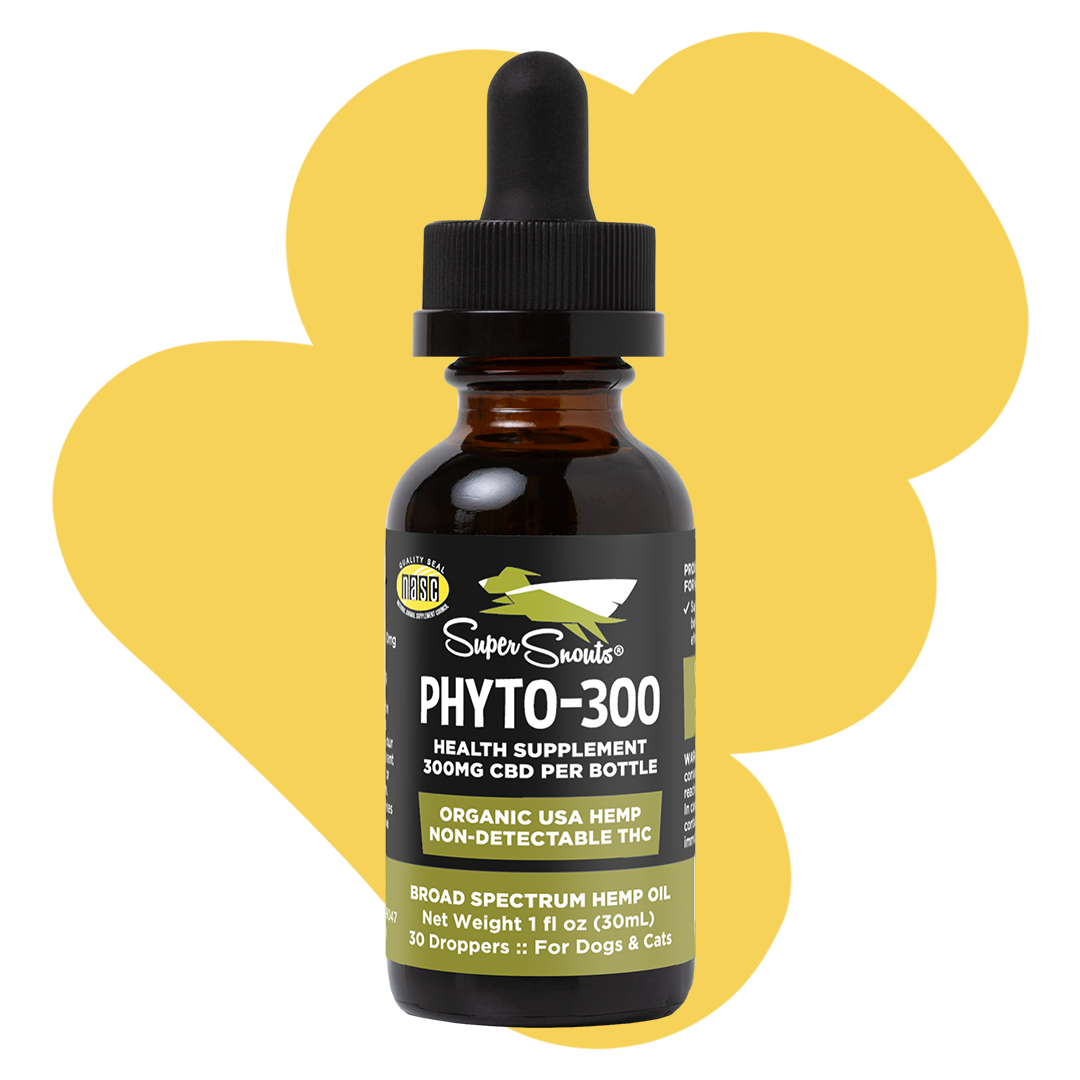 Phyto - Hemp Oil Tincture
