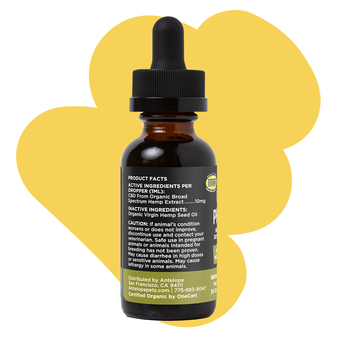 Phyto - Hemp Oil Tincture
