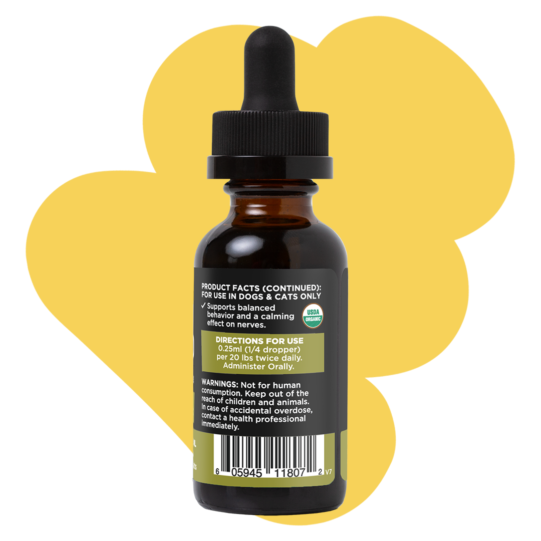 Phyto - Hemp Oil Tincture