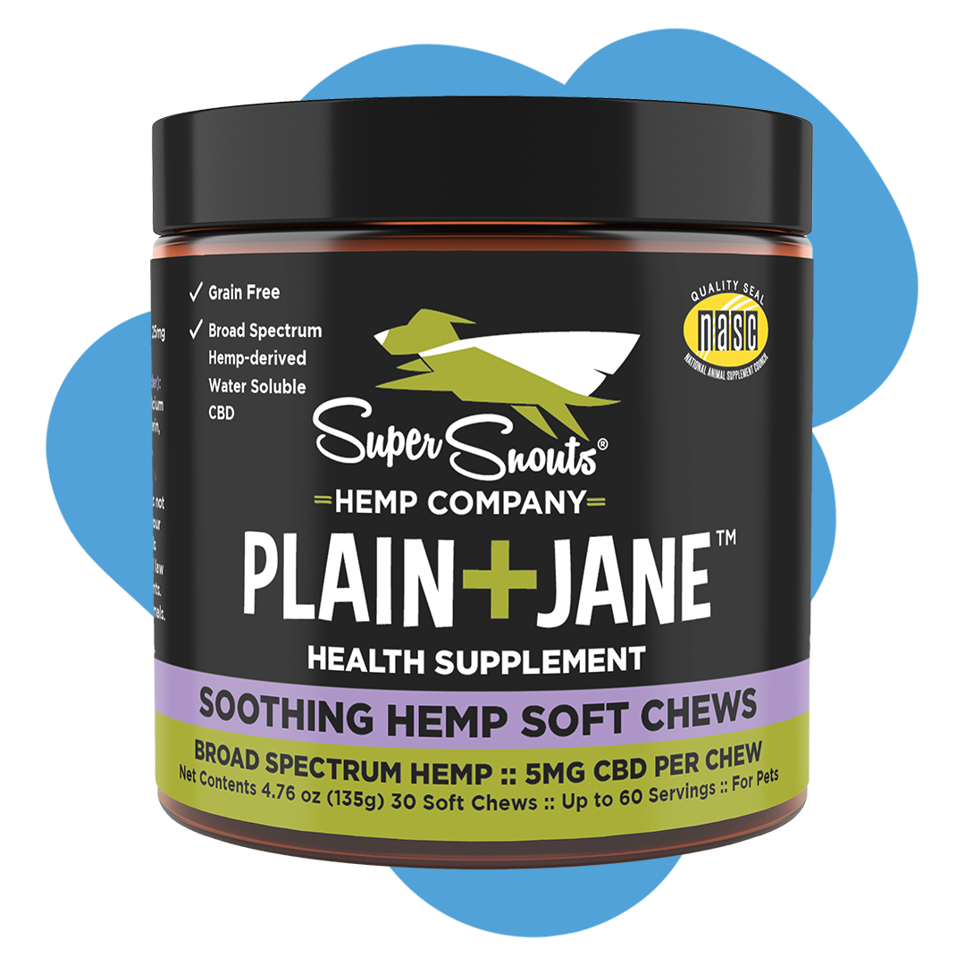 Plain + Jane Wellness Support Hemp Chews