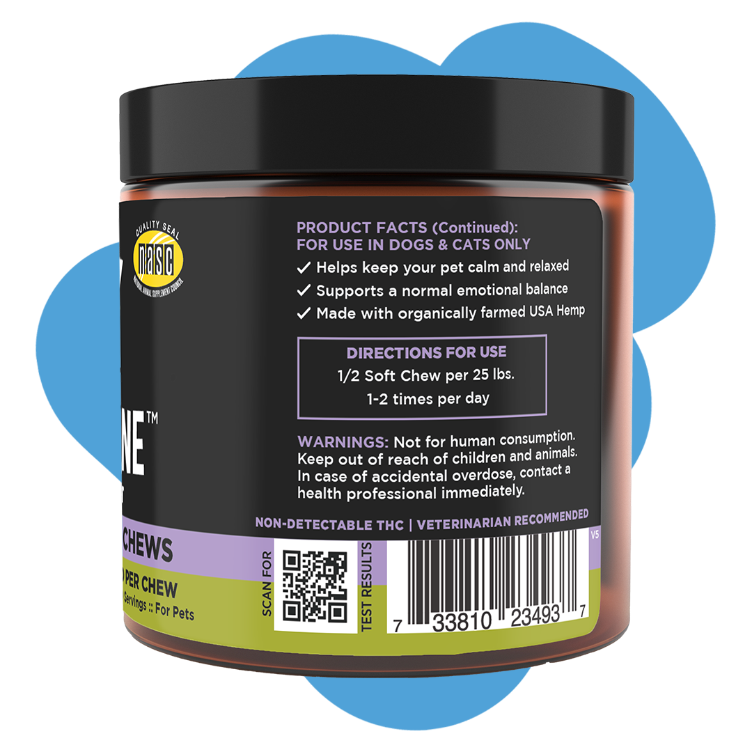 Plain + Jane Wellness Support Hemp Chews