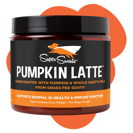 Pumpkin Latte