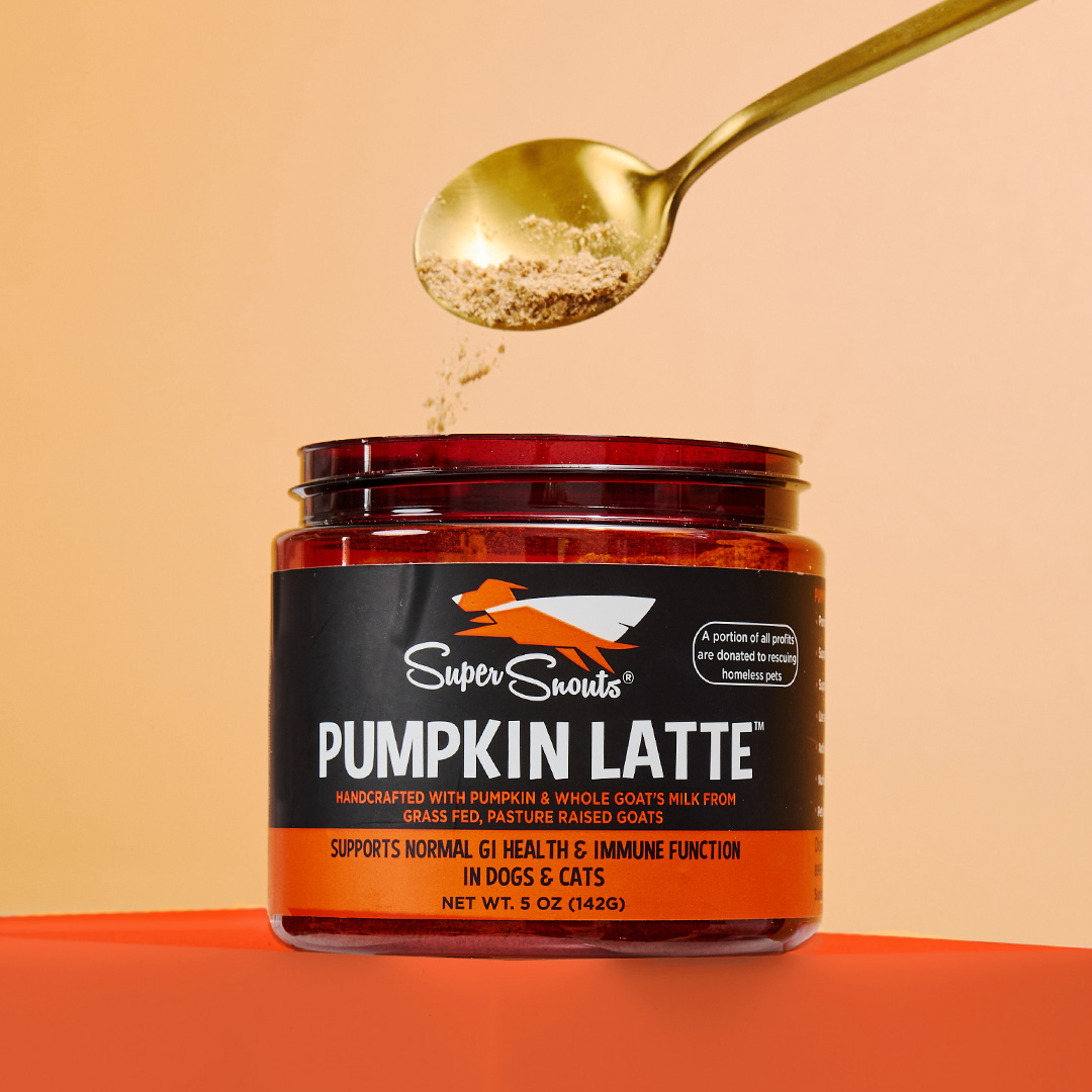 Pumpkin Latte